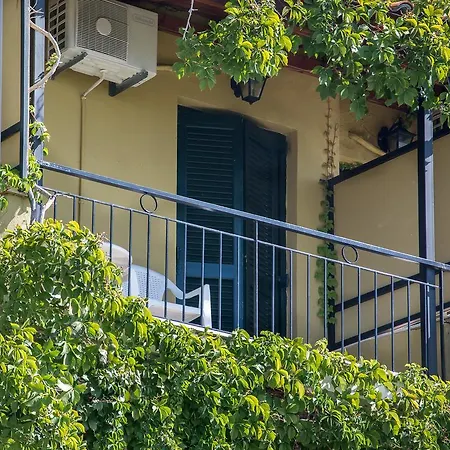 Golden Nests Apartment